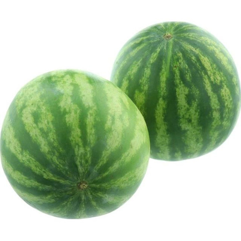 PASTEQUE QWETZALY KG